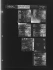 Men meeting at wooded location (7 Negatives) (March 25, 1964) [Sleeve 88, Folder c, Box 32]